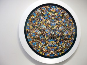 Kunstwerk met echte vlinders